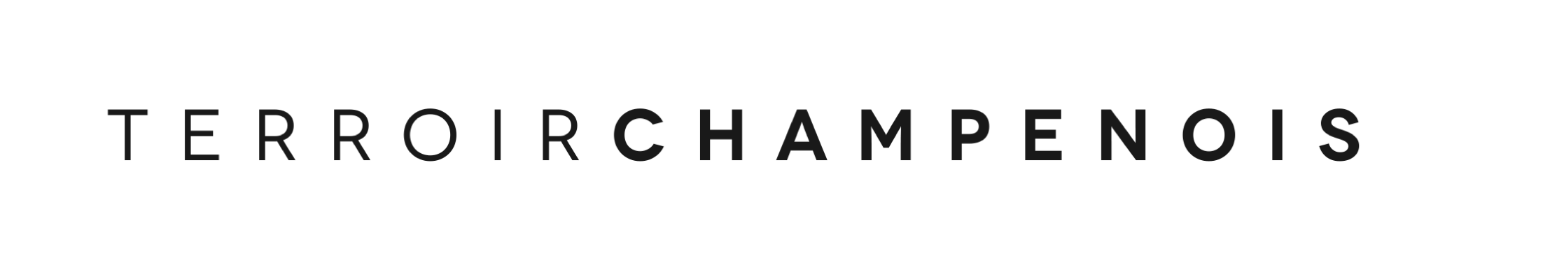 Terroir Champenois Mobile Retina Logo