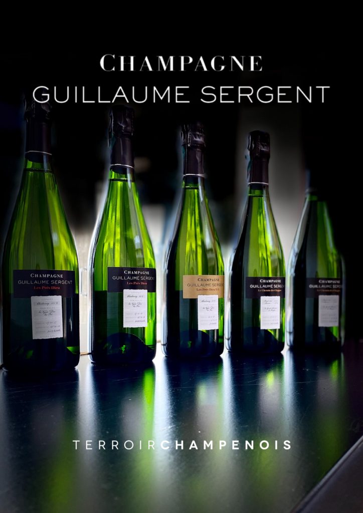 Guillaume Sergent Terroir Champenois