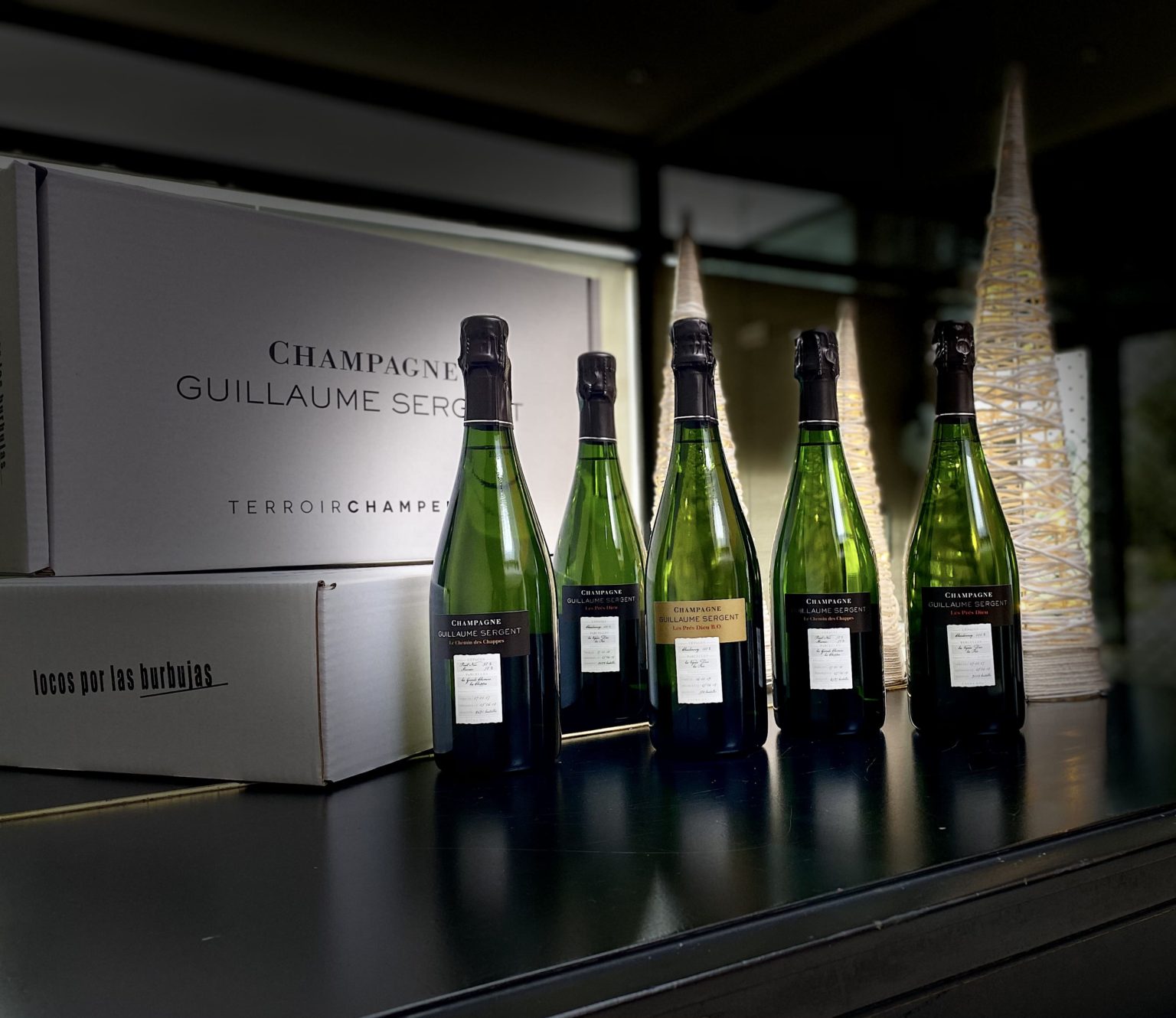 Guillaume Sergent Terroir Champenois